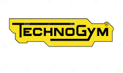 technogym-treadmill-repair